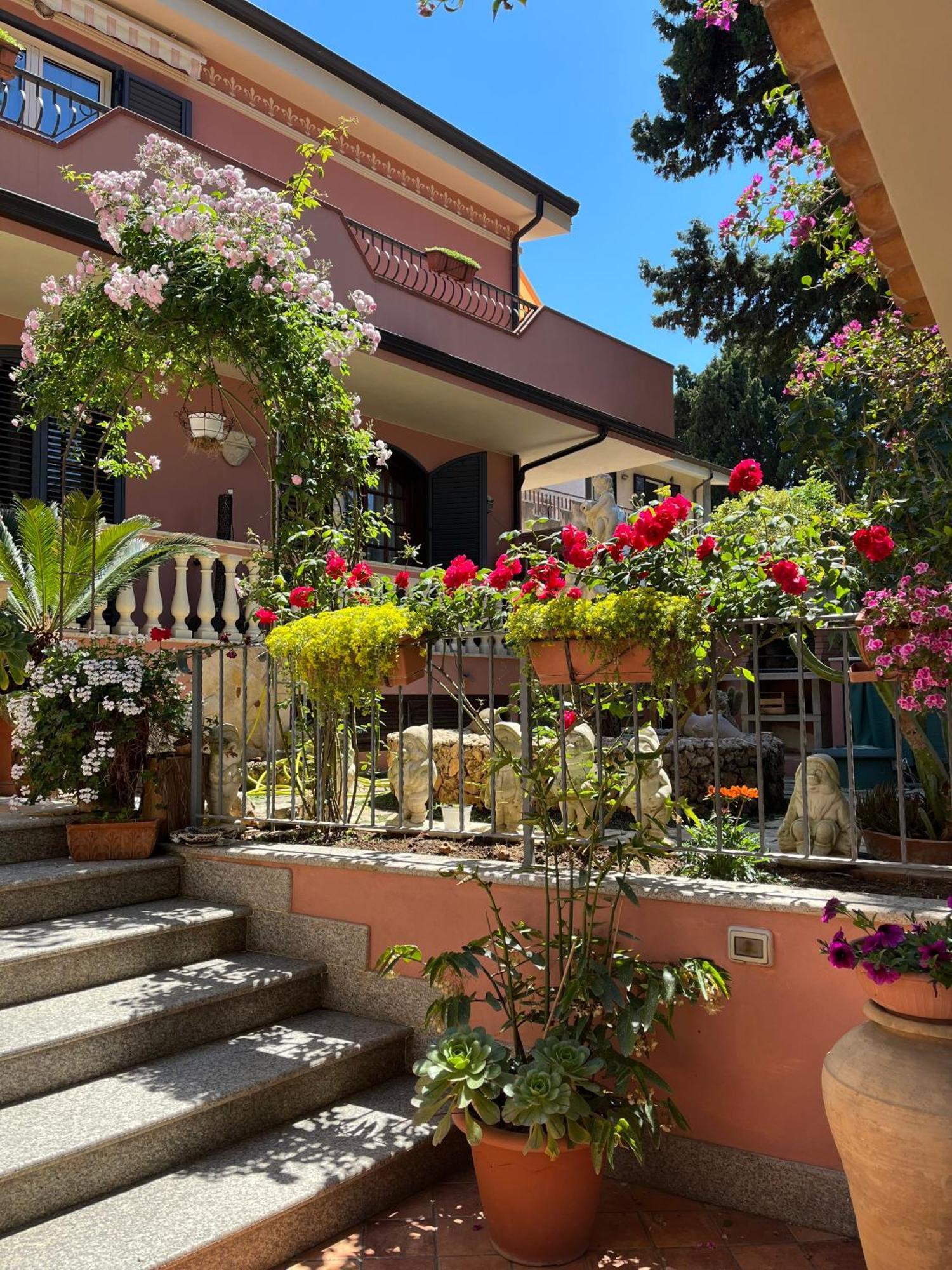 B&B Villa Regina Santa Domenica  Extérieur photo